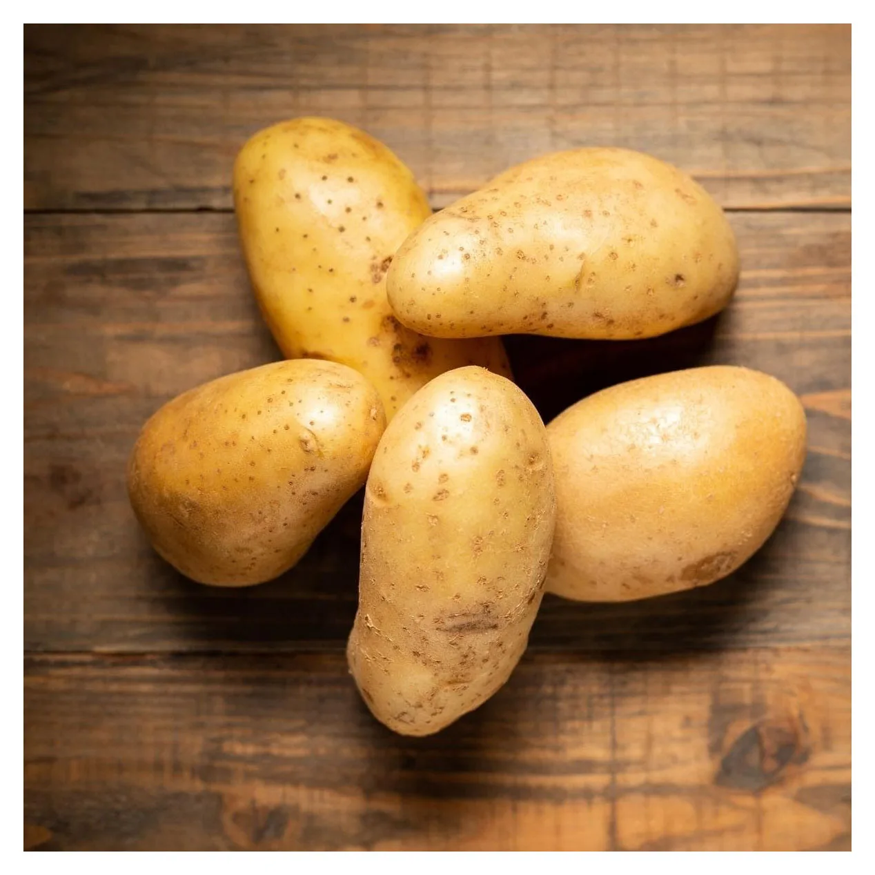 potatoes supplier fresh potatoes style organic weight origin type shape size product  quality New Harvest  Exporters ready