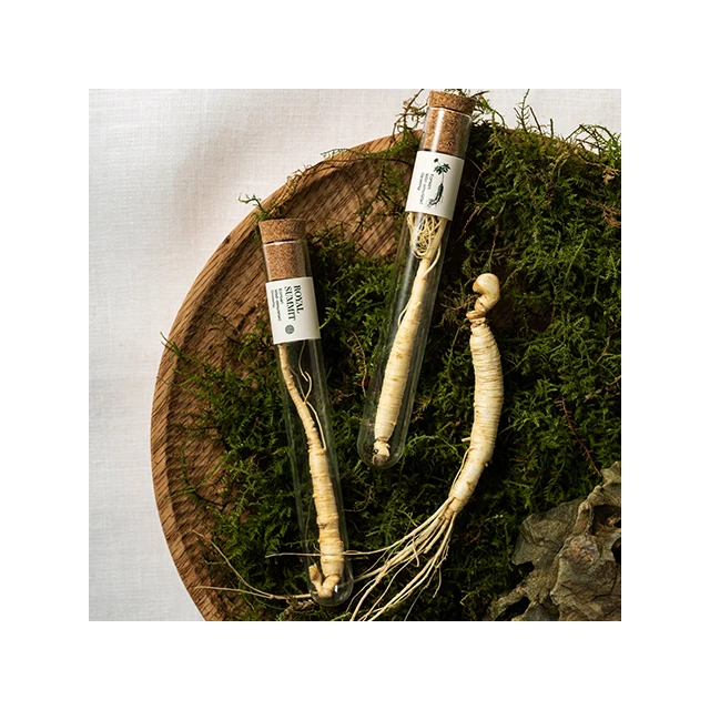 (eat the company)-Crispy Korean wild ginseng  Korean wild-simulated ginseng good for health special care of health KOTRA