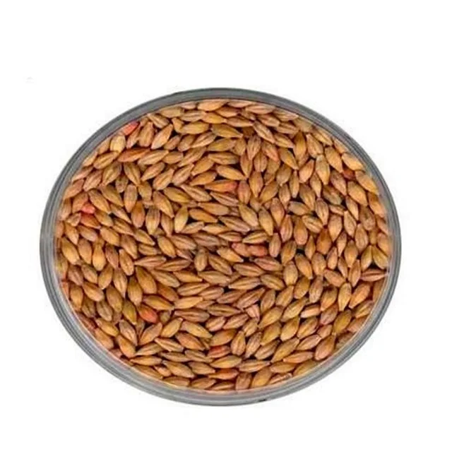 High Quality Green Lentils Beans/ Red Lentils/ Yellow