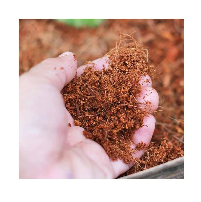 Wholesale Grow Medium Brick Soil Compress Coconut Peat Cocoa Grow Coco Coir Block