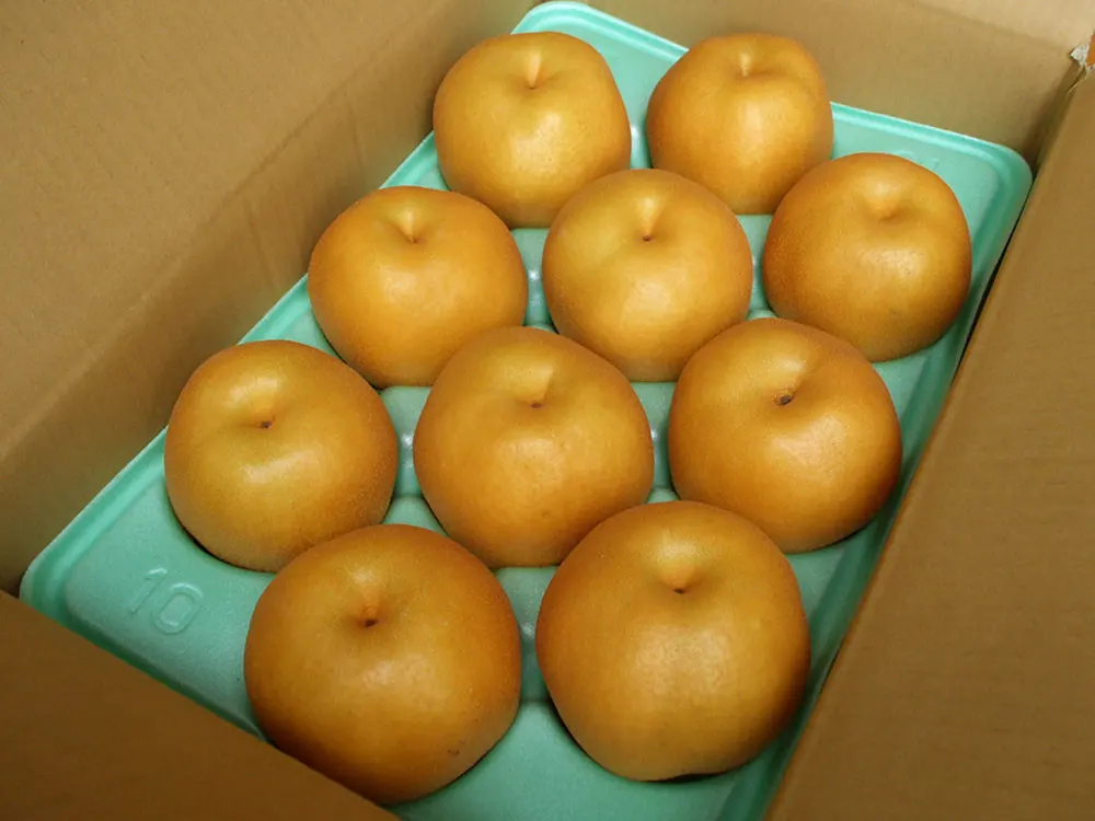 Bulk Japanese Fresh Sweet and Juicy Pear Kosui