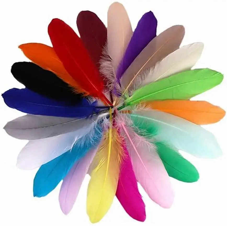 Multicolor Silver Ostrich Feather Handicraft with Dyed Pattern for Home & Wedding Party Decor Washed Pattern