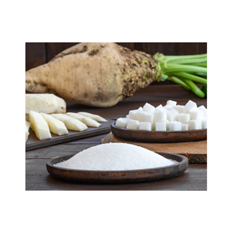 Factory price ICUMSA 45 White Refined beet Sugar Brazil
