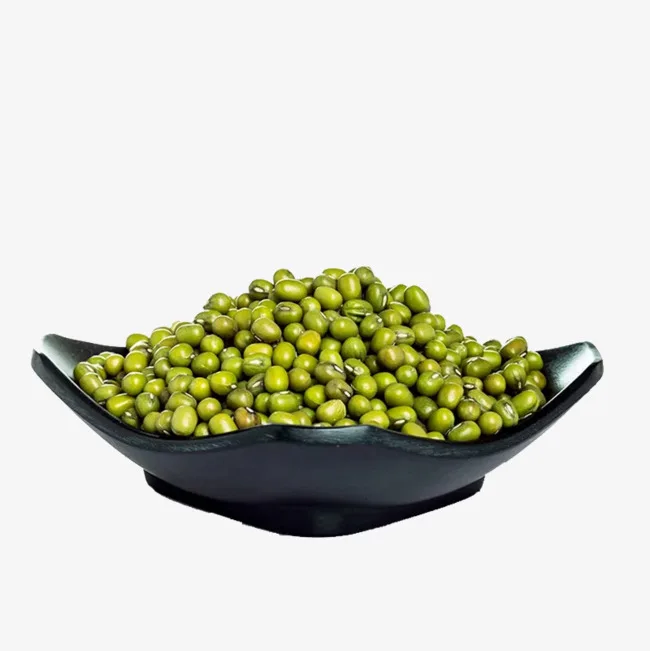 Affordable Price Green Mung Beans / Supplier of High Quality Dried Green Mung Beans