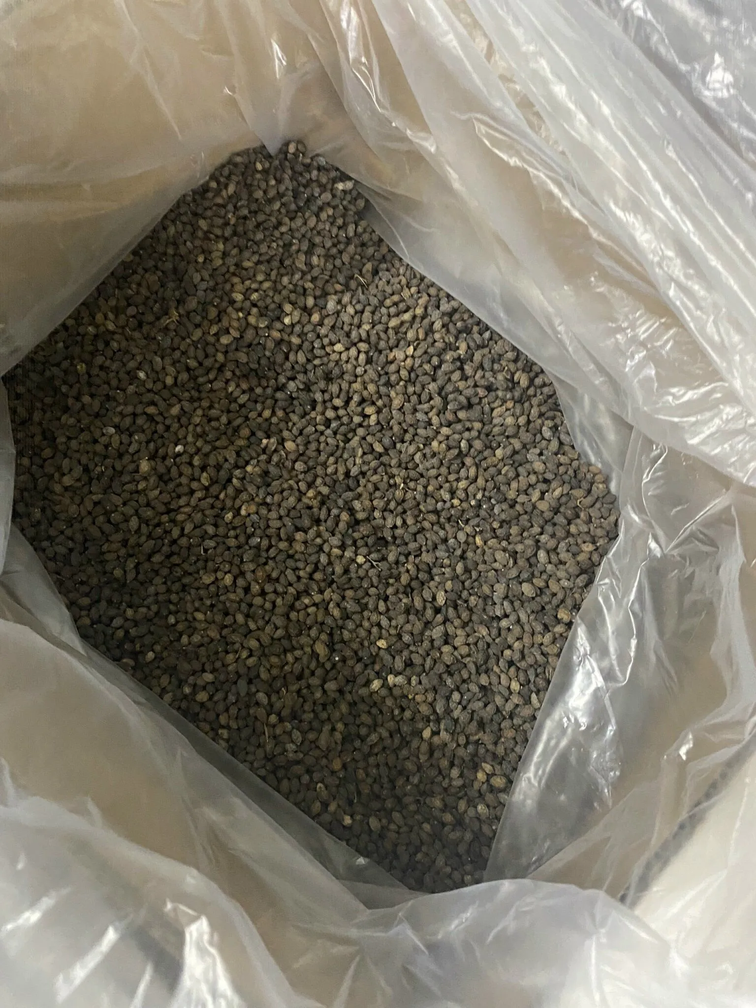 Crushed papaya seeds help treat acne