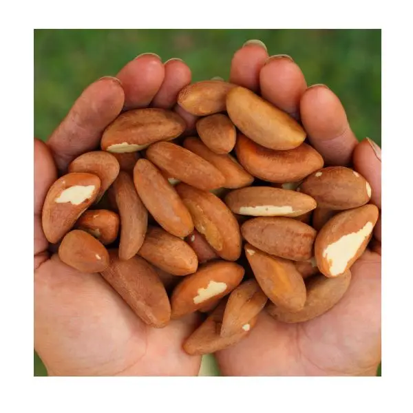 Качественные бразильские гайки