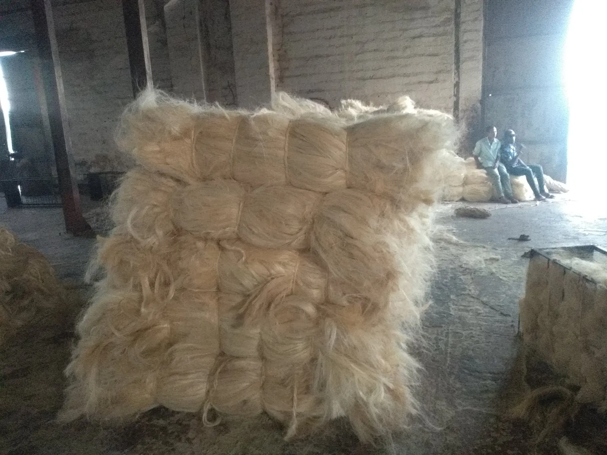 Wholesale of Sisal Fiber Packed in Bales of 100 kgs, 200 kgs and 250 Kgs with Custom Packing Available at Cheap Price