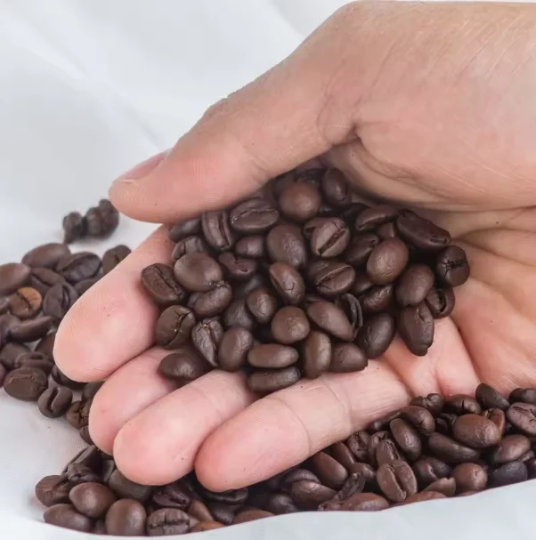 Organic Coffee High Quality Organic Coffee Whole Grain and Enriched Taste Best Flavored Raw Coffee Beans