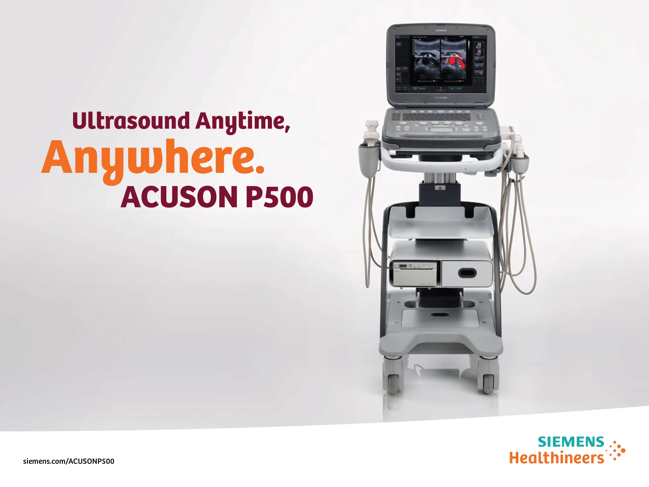 P500 Brochure-01.png