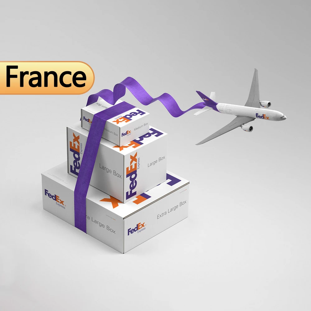 china to France  express shipping