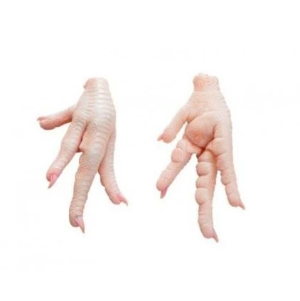 New stock Halaal Frozen Chicken Feet Paws Breast / Frozen Whole Chicken / Frozen Chicken Legs and Wings