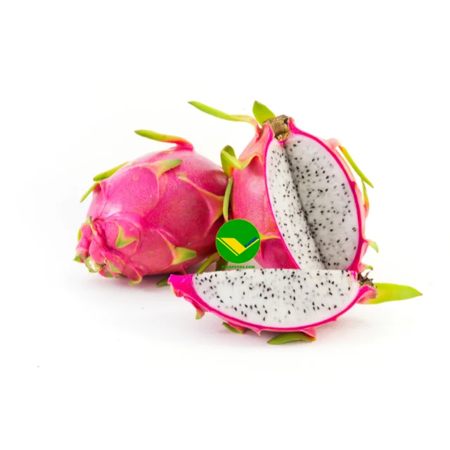 Fresh and clean Vietnamese Dragon Fruit The Perfect Choice Bringing Natural Flavor to You and buyer