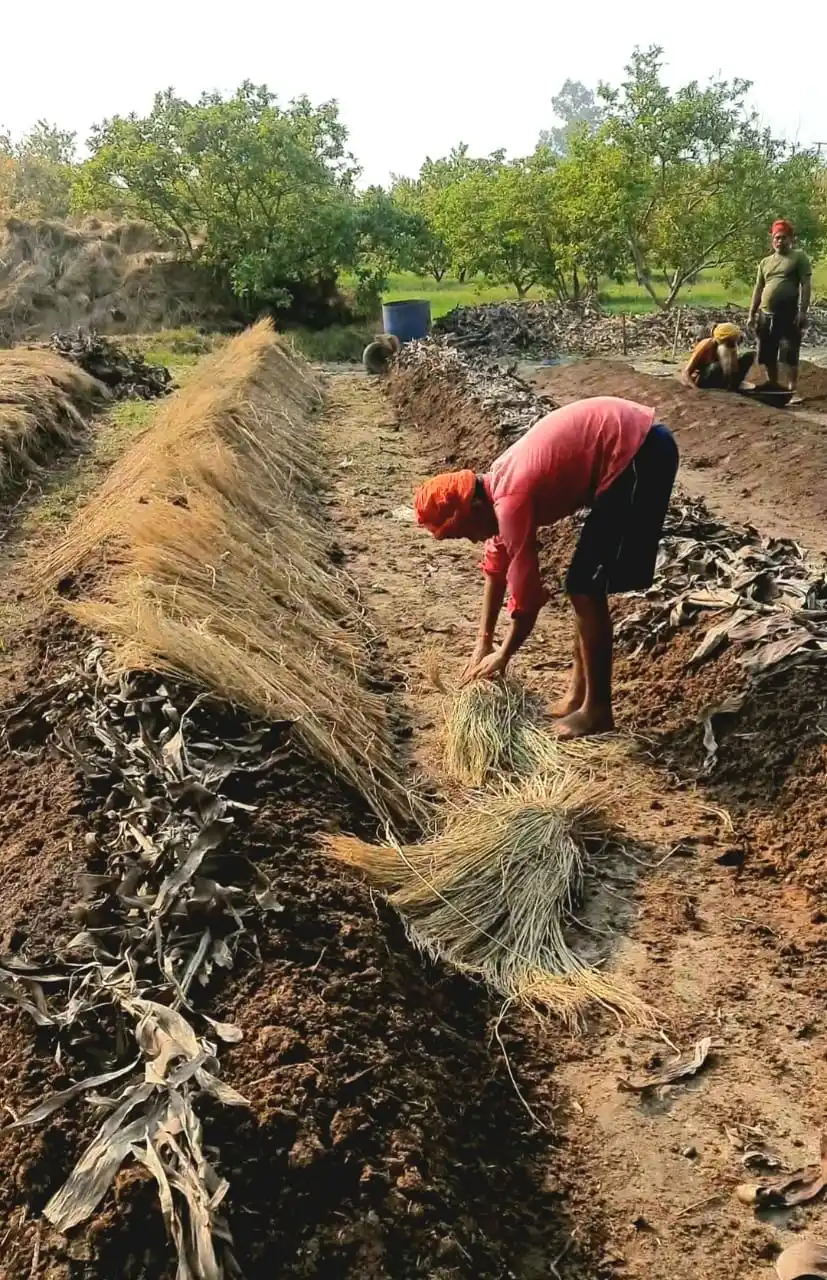 Vermicompost Manure 100% Organic Fertilizer 1Kg Packaging Enriches Soil With Micro-Organisms