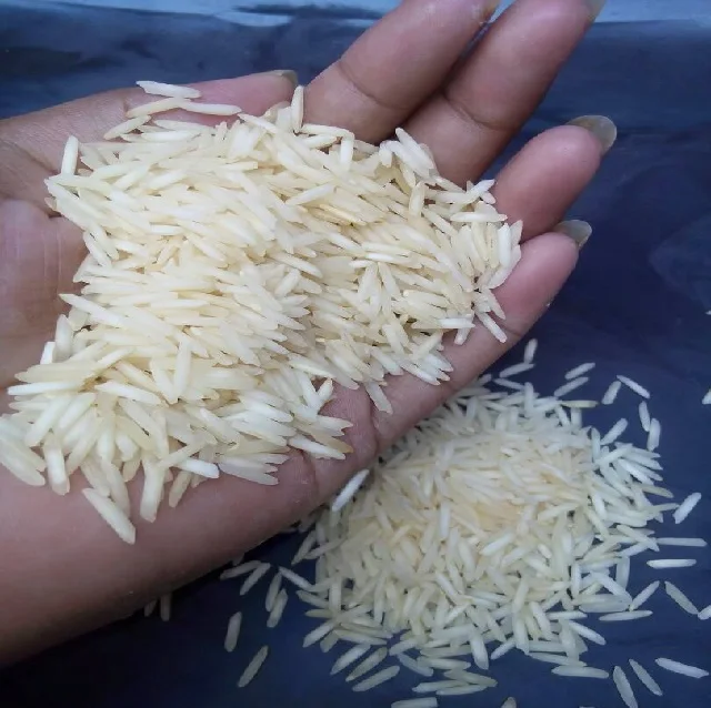 FREE SAMPLE 1509 CREAMY WHITE BASMATI RICE CURRENT CROP AVERAGE LENGTH 8.4 MM 50 KG PP BAG PACKING FACTORY STUFF READY TO EXPORT