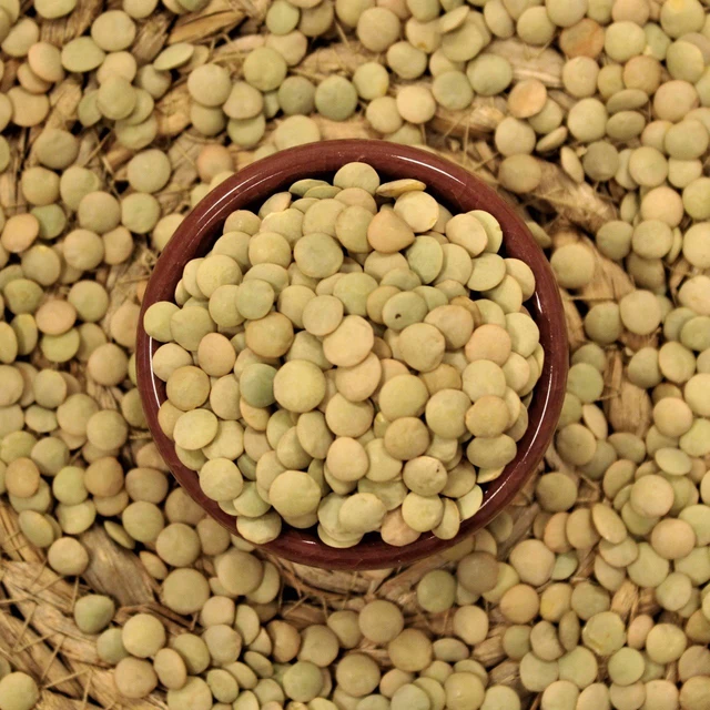 Высокое качество первоклассный продукт оптовая продажа зеленая