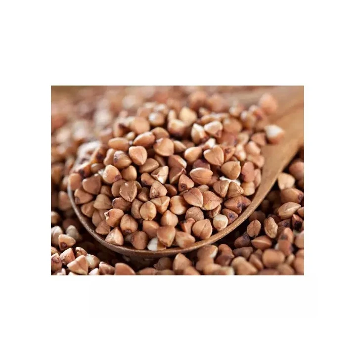 Оптовая продажа жареная гречиха высшего класса по низкой