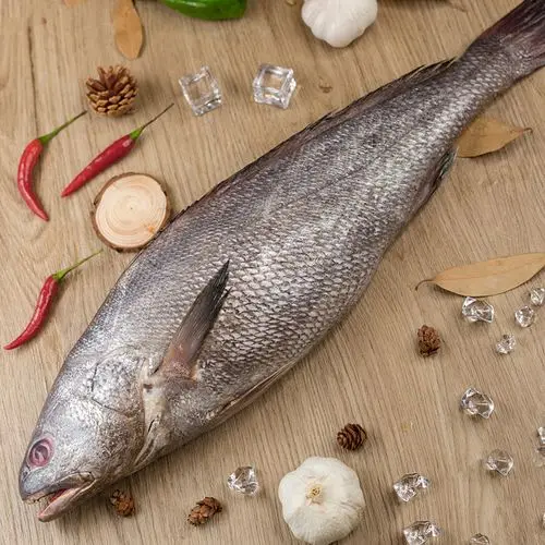 China Farms Fish Brown Croaker Gutted & Scaled 4-8kg Export Frozen Brown Croaker Fish
