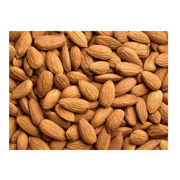 Cheap price premium Almond Nuts, Almond Kernel, Sweet Almond
