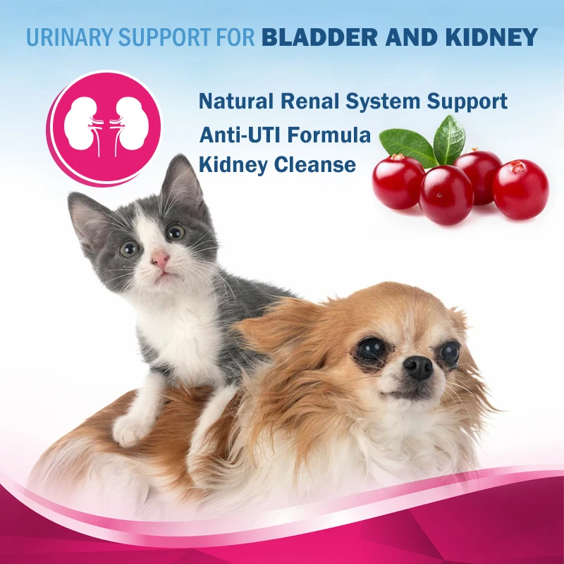 Natural Urinary Bladder Health Supplement Urinary Tract Cranberry Dogs Cats Urinary Tract Infection Treat