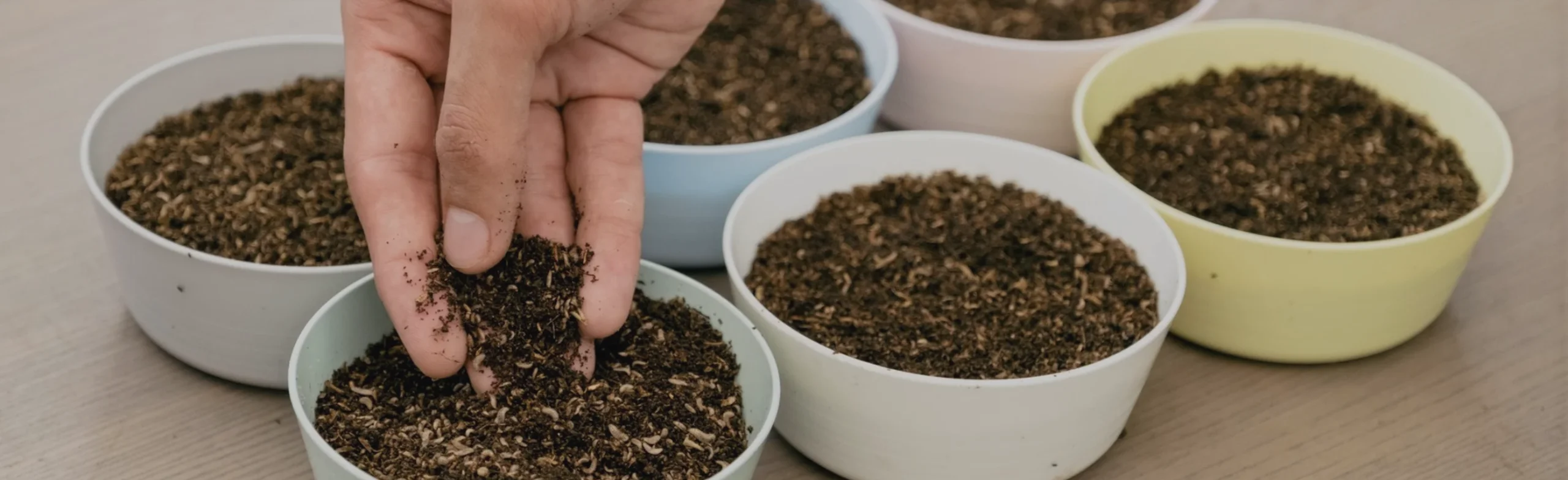 Self-Contained Nutrients 1 Litre Black Soldier Fly Organic Fertiliser (Frass) for Super Roots Development