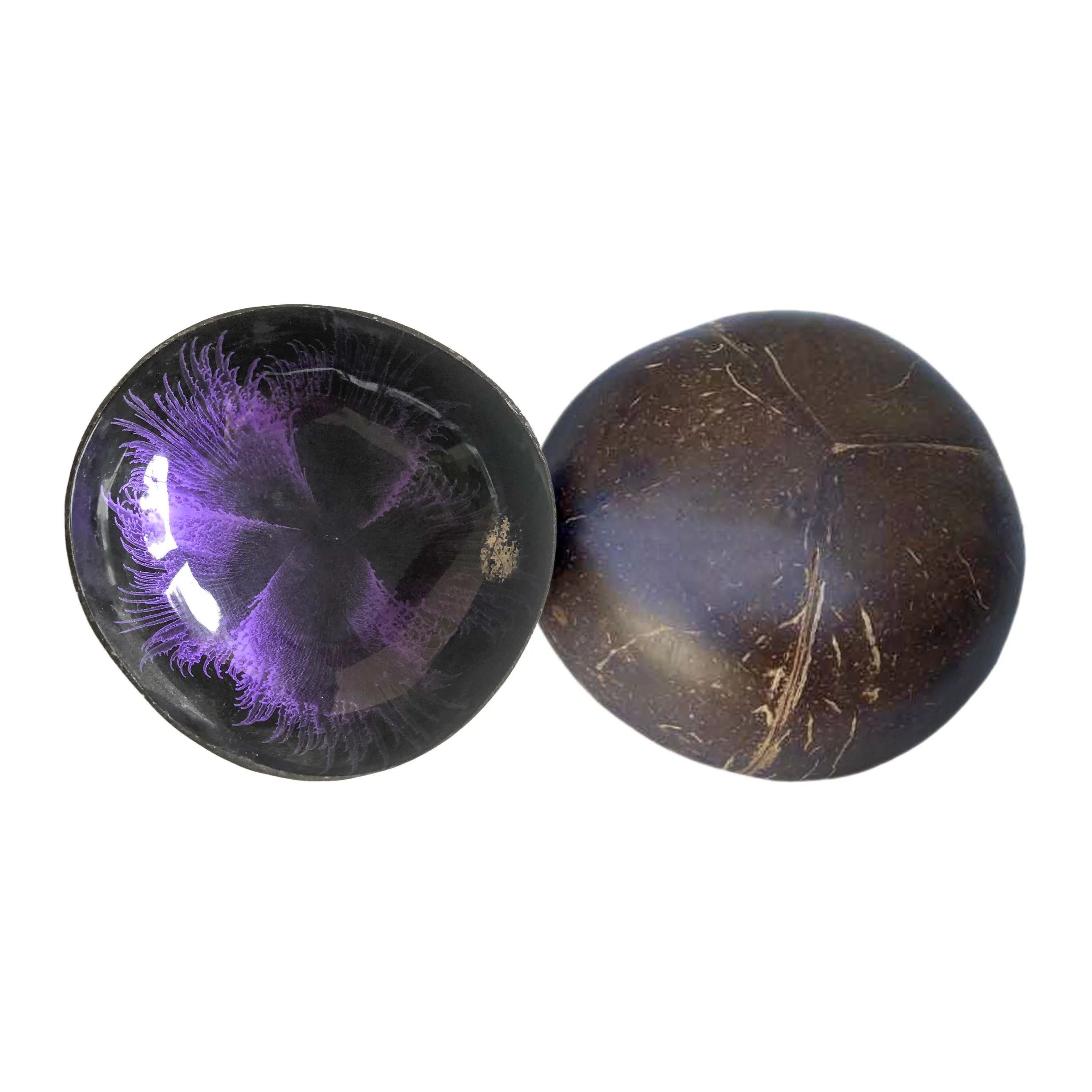 ODM натуральный материал ручной работы высокое качество и дешевая цена лакированный кокосовый орех с ракушками во Вьетнаме