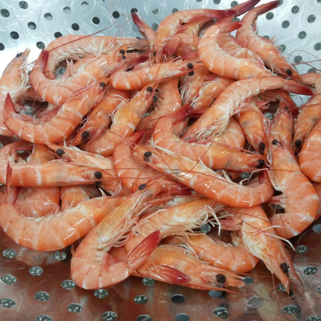 Vannamei Shrimp HOSO Cooked IQF Best Quality from Vietnam New Product Seafood Frozen Cooked