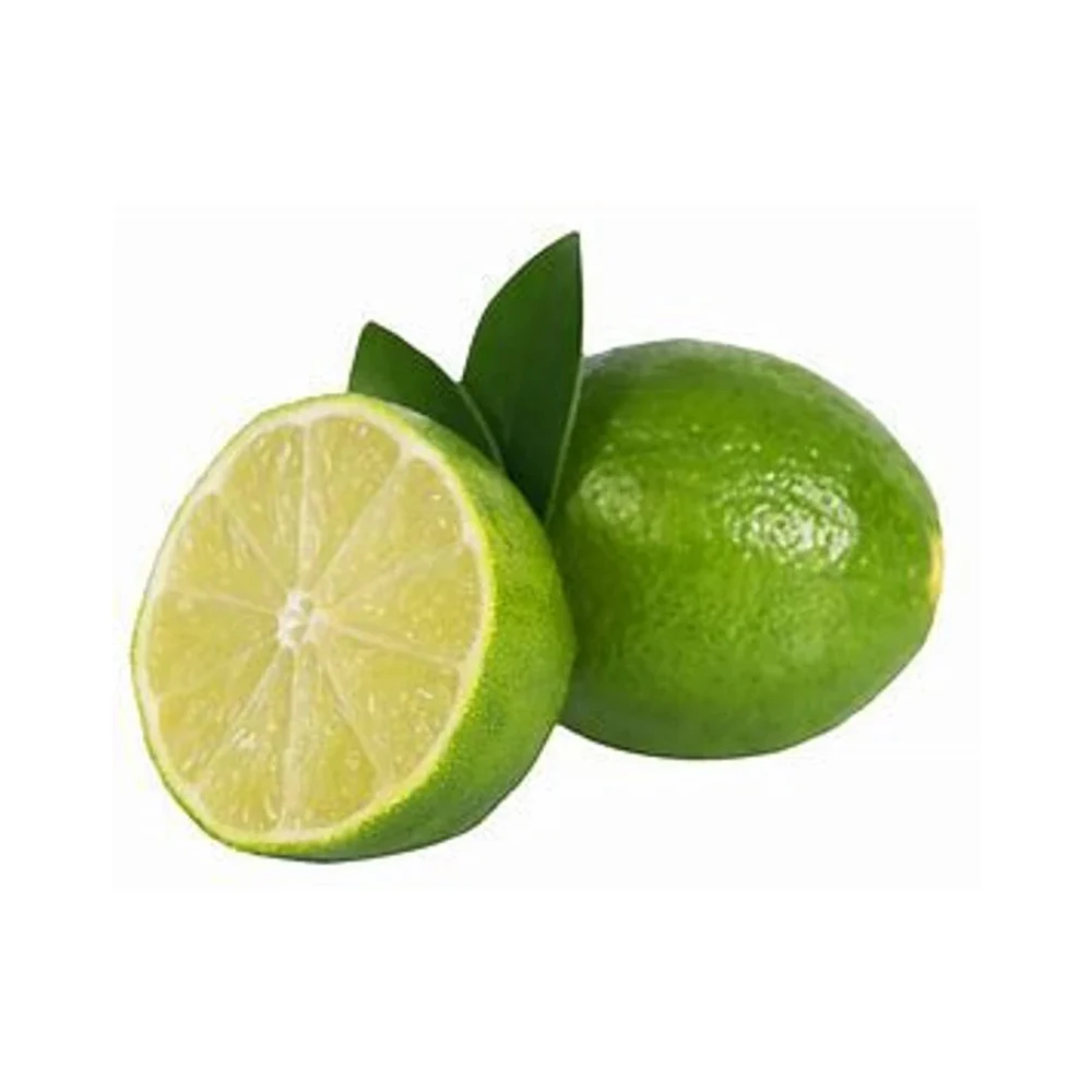Best Quality Custom Made Wholesale fresh Limen Natural Fresh Lime
