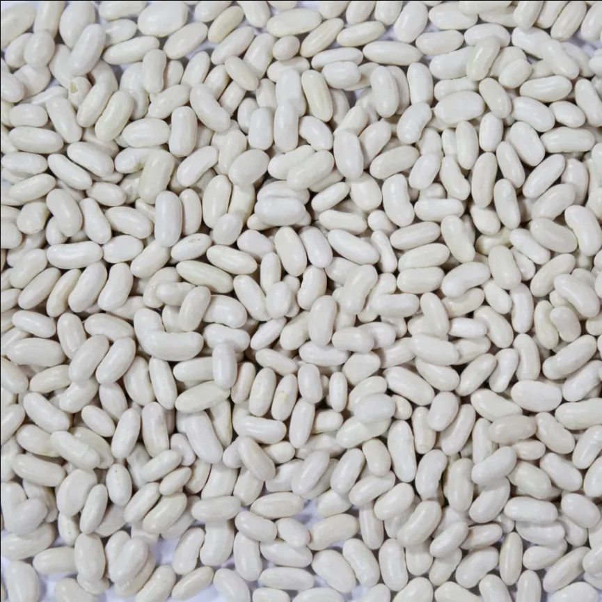 whole sale High Quality Red Kidney Beans 2023 Crops Year
