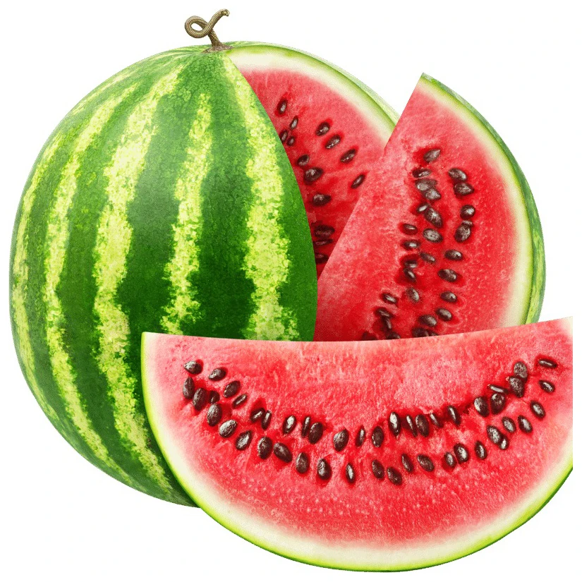 High Quality Fresh Watermelon Fruit At Best Price With Refreshing Sweet Taste  High Quality Fresh watermelons for Sale