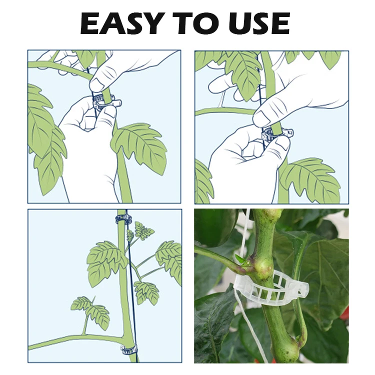 High Quality Tomato Clips Tomato Grafting Clips Greenhouse Small Growing Tomato Planting Galvanized Steel Wire 2.3cm