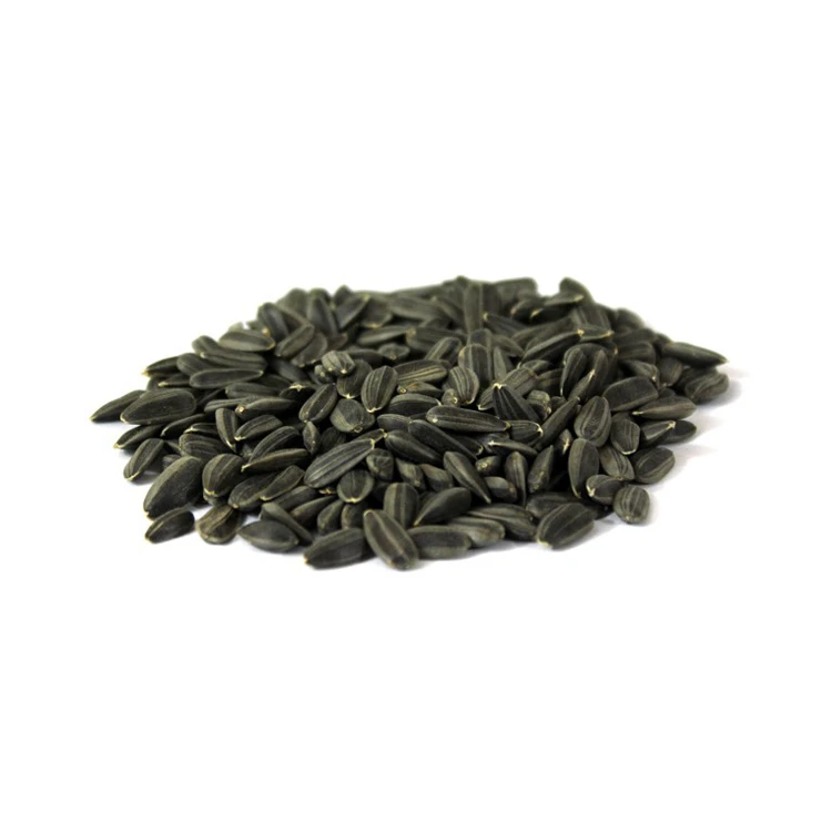 Best Quality Sunflower Seeds For Sale In Cheap Price