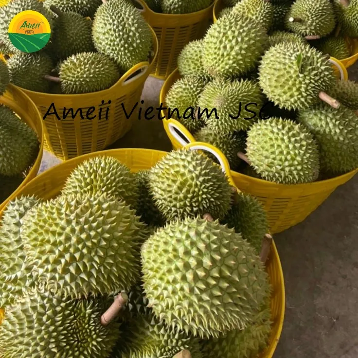 Fresh Delicious Ri6 Durian Vietnam Creamy Sweet Durian