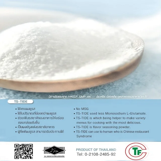 Premium Quality I+G Replacer Flavoring Agent for Snacks and Crispy Foods from Thailand Packing 10kg per Carton