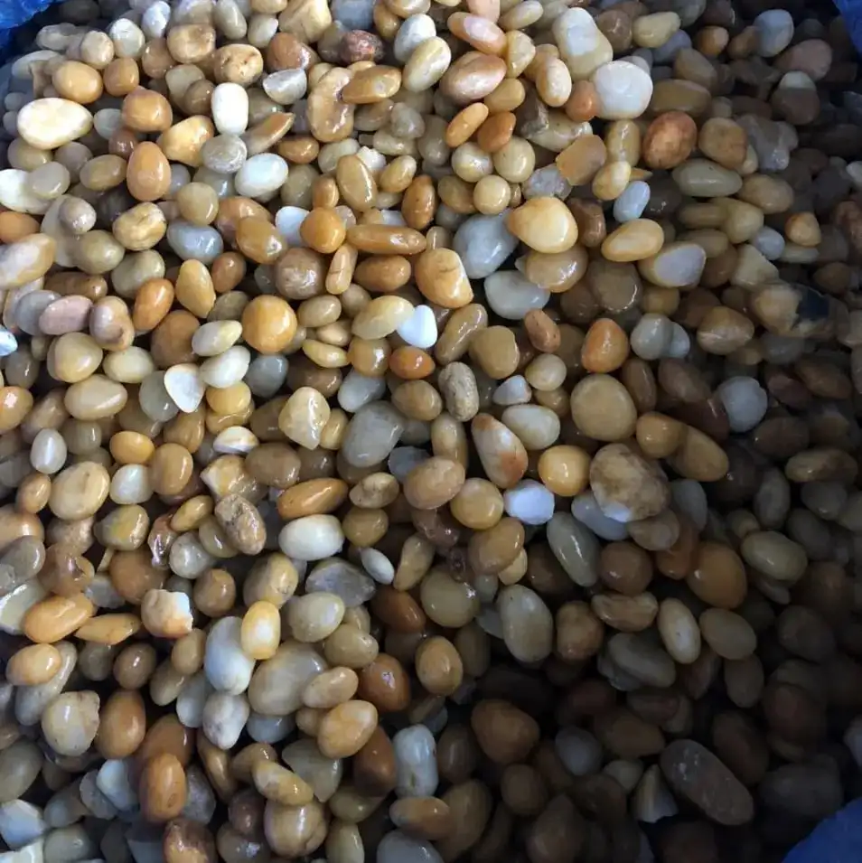 Multicolor Pebble Stone Marble Stone For Decoration Of Garden And Aquarium With Factory Price and Beautiful Color