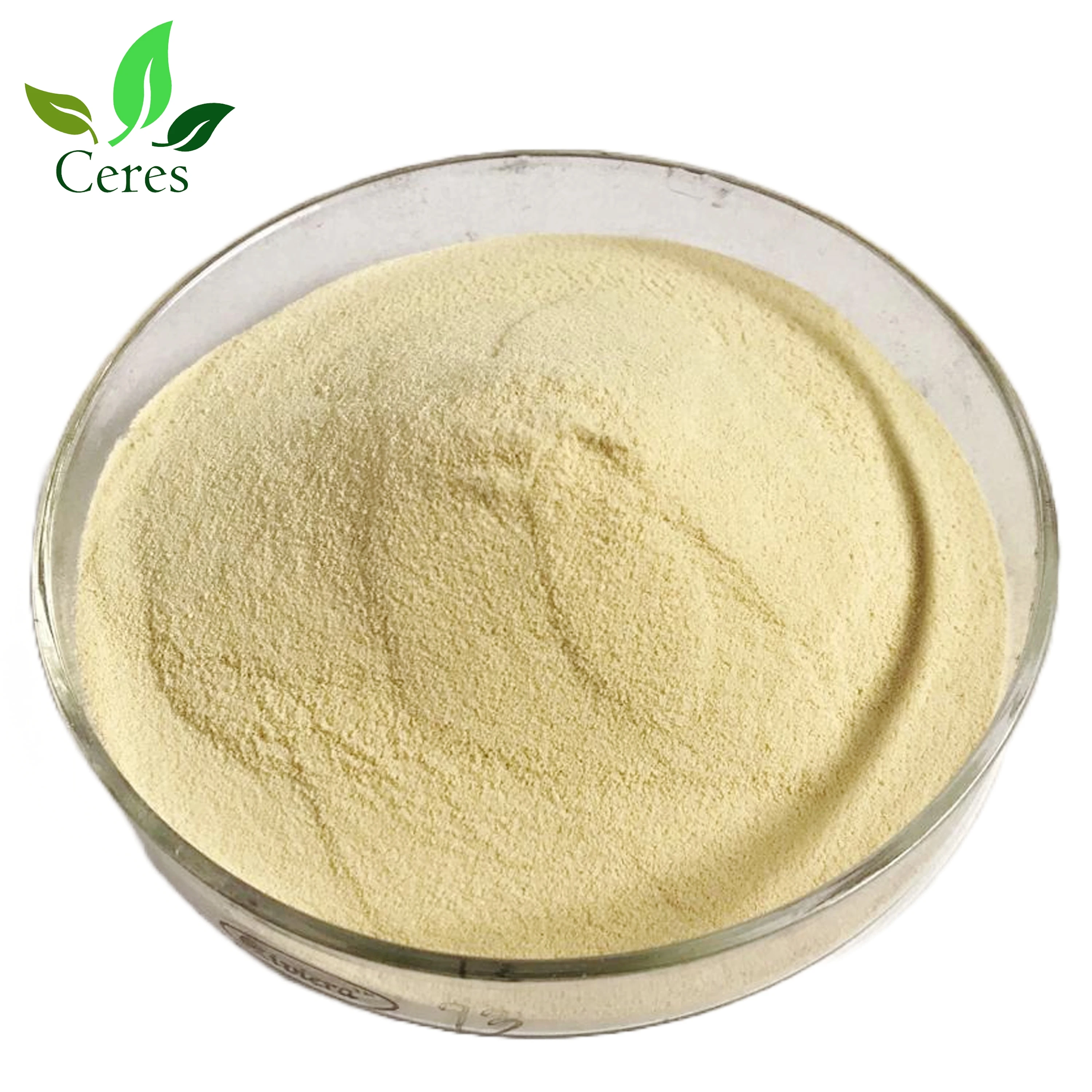 Hot Selling Amino Acid 40-80% / High Quality / Chelated Fertilizer for Agriculture Use Made in India Wholesale Exporter Powder