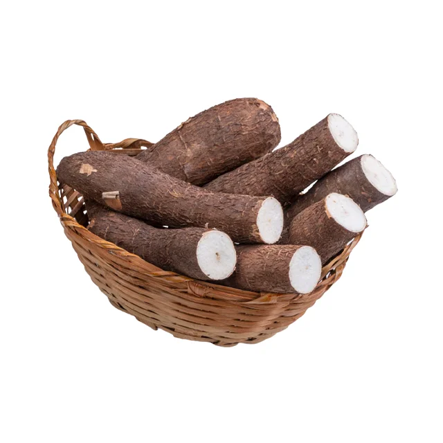 Commercial fresh Cassava Chips Processing Machine Cassava Chips Feeds Production Line made from Vietnam