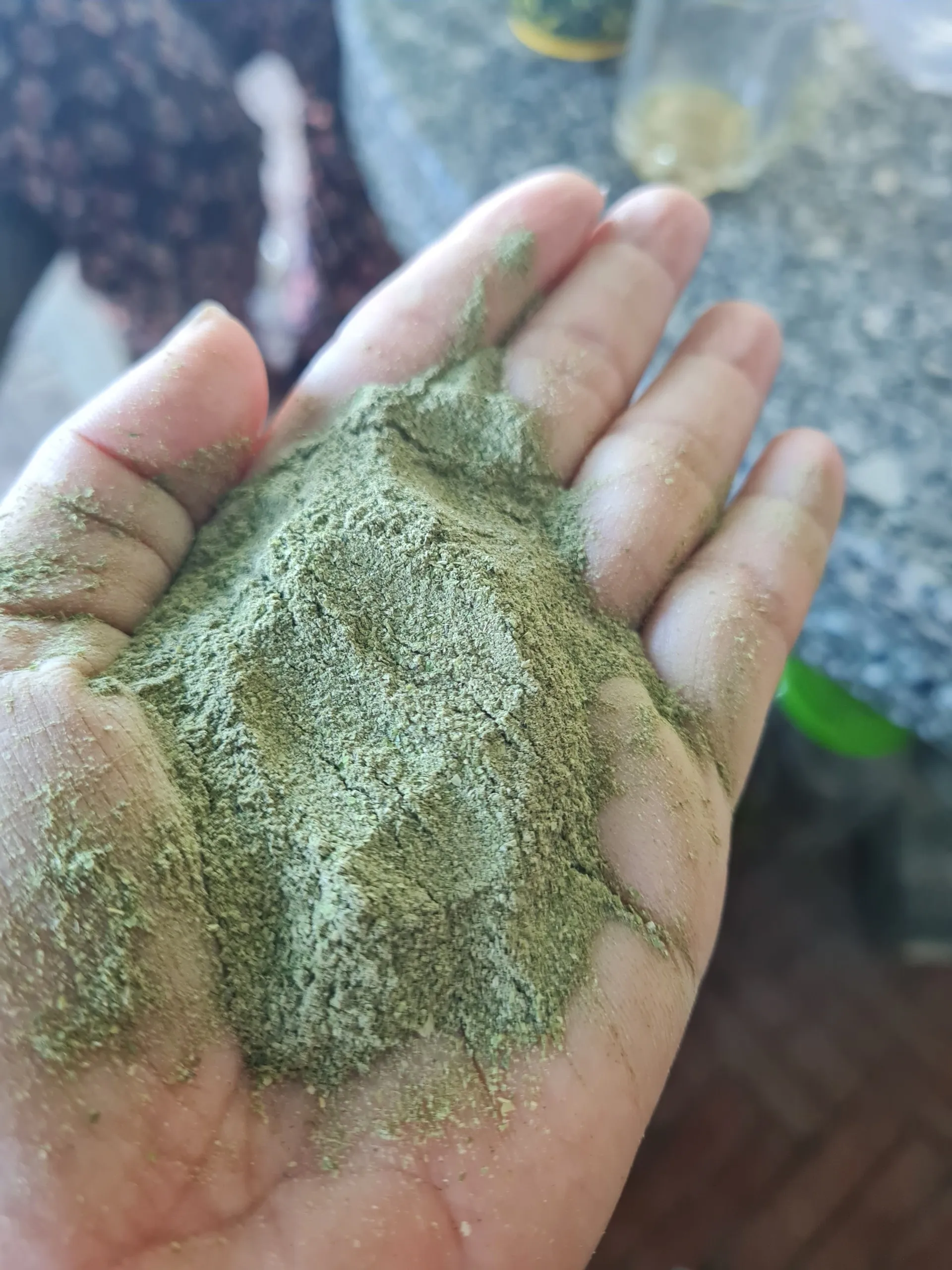 High Quality Ulva Lactuca Powder Green Seaweed Dried Ulva Lactuca Seaweed Sea Lettuce At Competitive Price