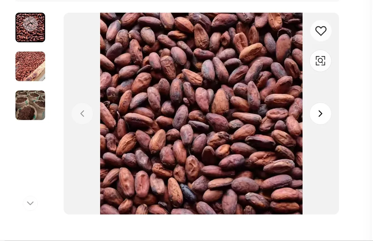 Cocoa Beans