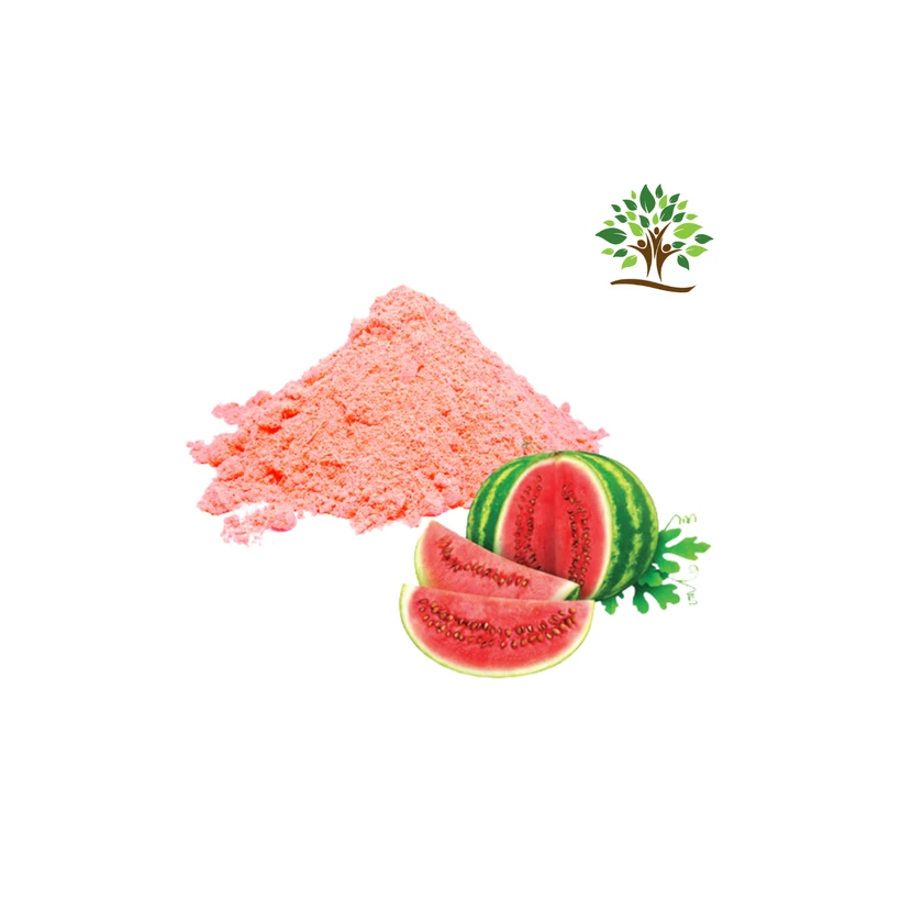 Customized Watermelon Rind Extract Powder 100% Fresh & Pure Spray Dried  Watermelon Juice Powder Manufacturer In India