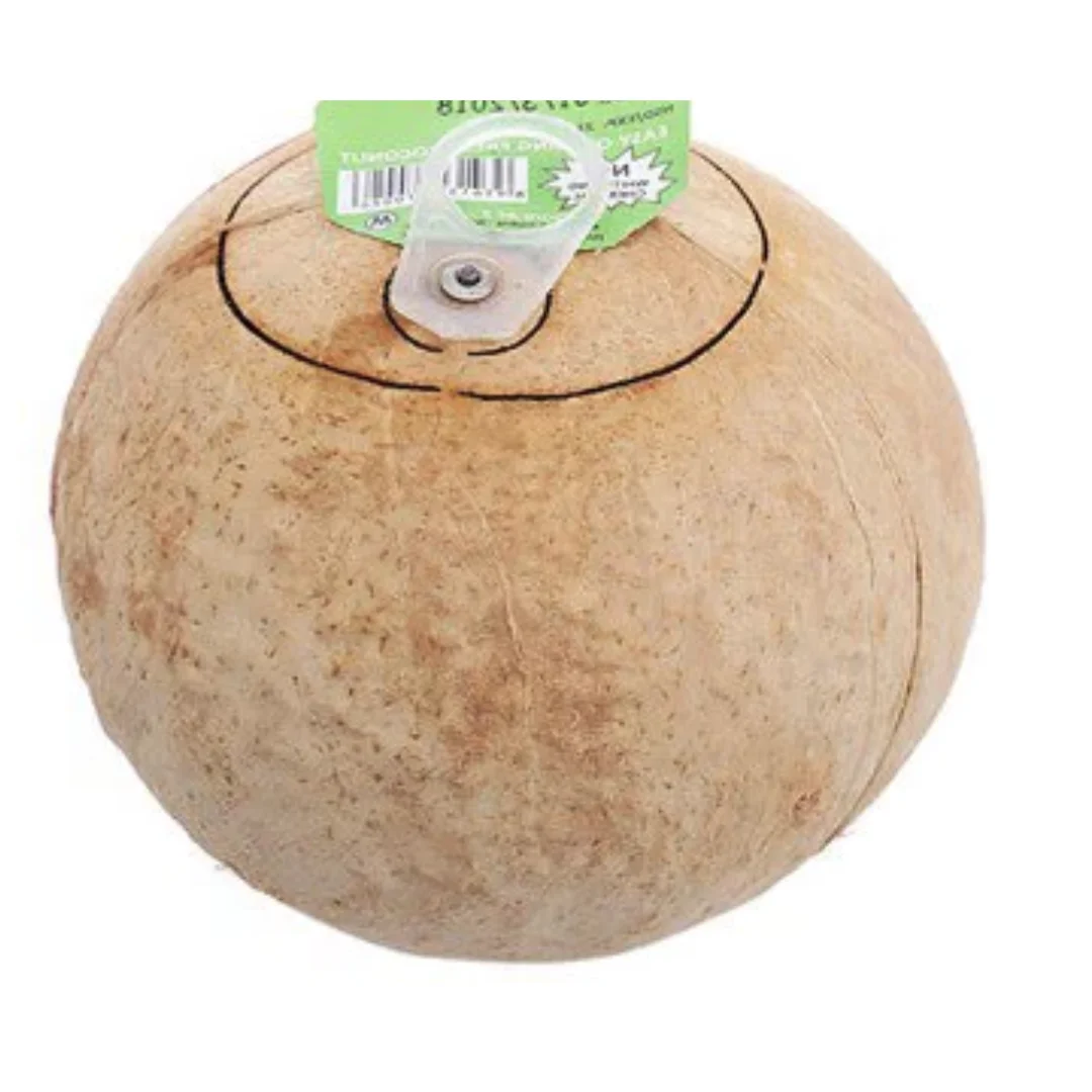 Wholesale Coconut Water Tropical High Quality Semi-Husked Siames Type Cheap Fresh Coconuts Vietnam Wholesale Whole Style