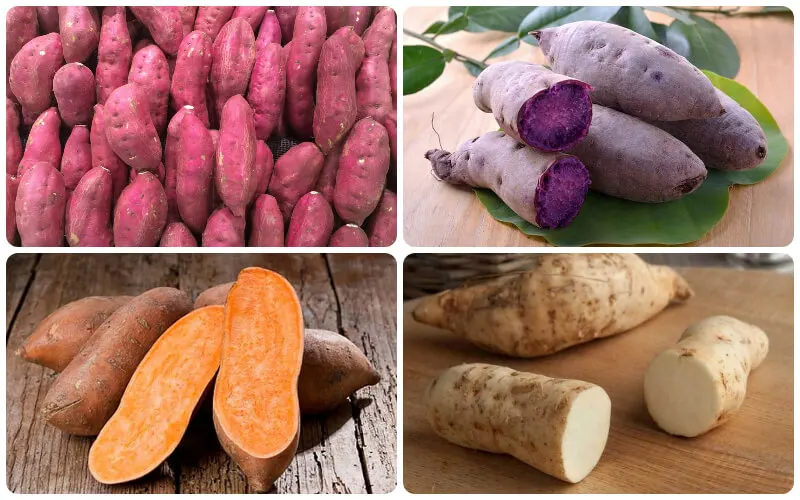 2022 высококачественный желтый и фиолетовый тушеный сладкий картофель из Вьетнама