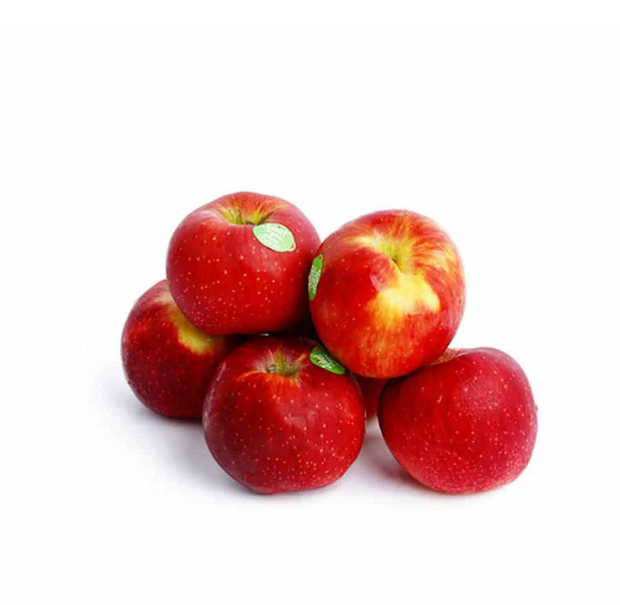 Fuji Apples Red New Sweet Style fresh royal gala apples from fresh fruits farms