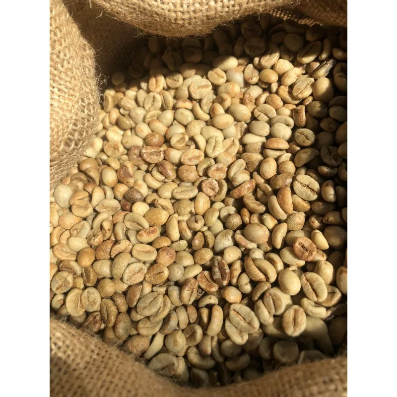 VIETNAM NATURAL SCREEN 16 WET POLISHED ROBUSTA GREEN COFFEE BEAN Wholesale WHATSAP 0084989322607