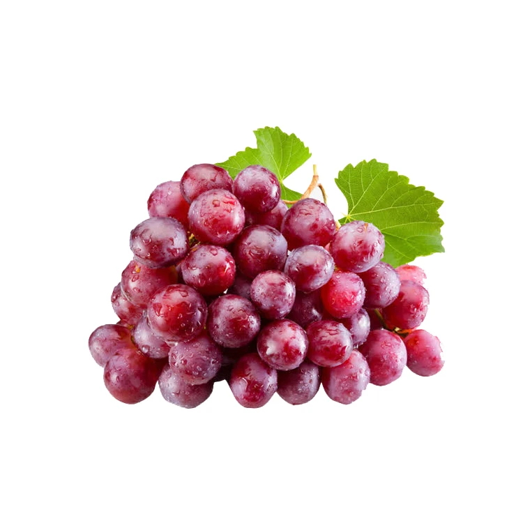 Fresh Grapes For Export