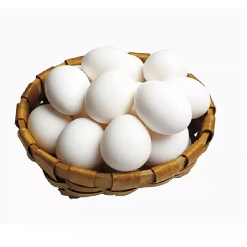 Best Quality Wholesale Fertilized Chicken Eggs Cobb 500 Broiler Chicken Eggs Fresh Cobb 700 Fertile eggs