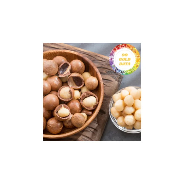 Vietnam Macadamia Nuts High Quality Wholesale Supplier Fresh Nutritious Bulk Orders Competitive Prices Ideal for Global Buyers