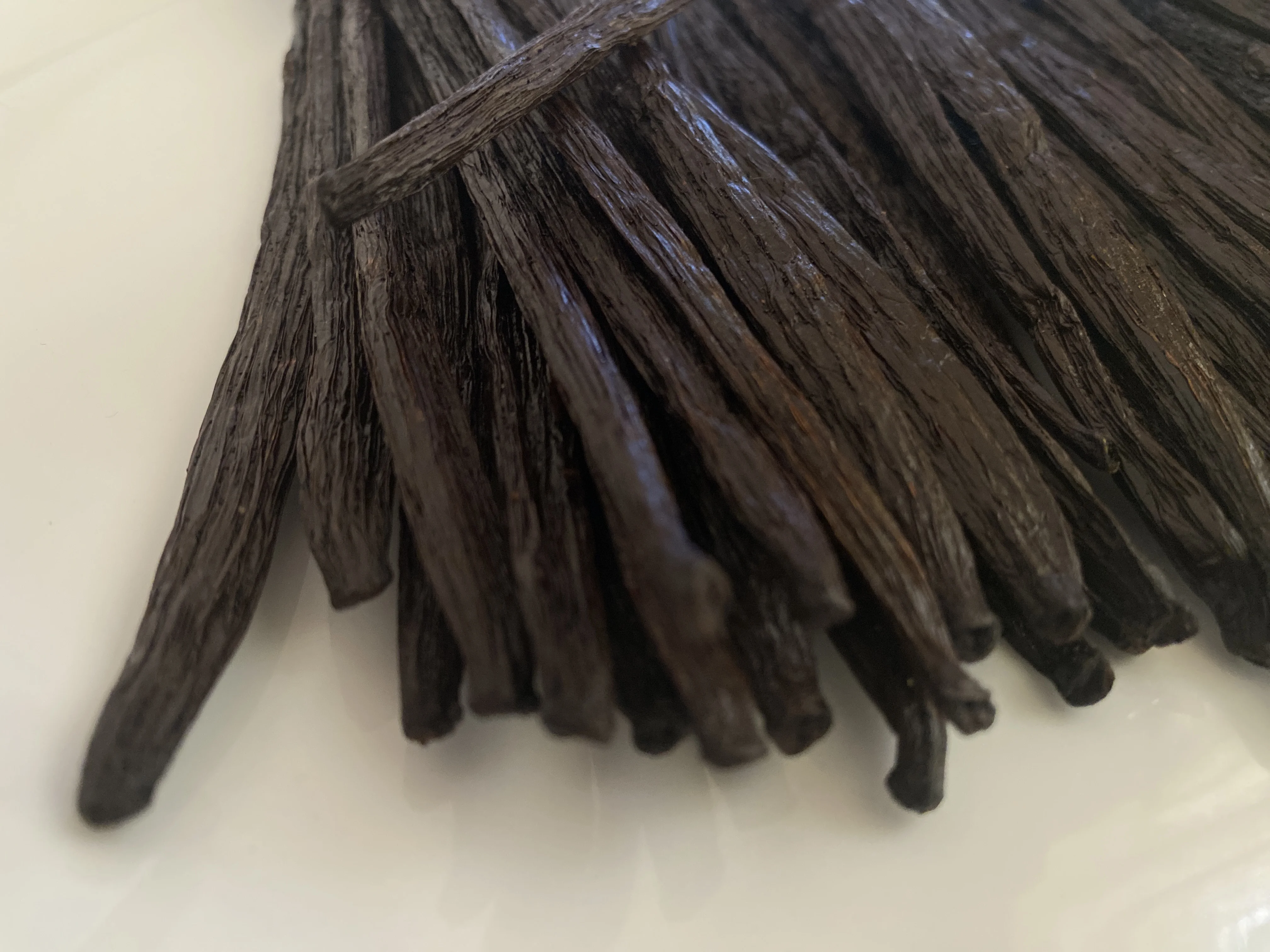 Grade a Organic Whole Vanilla Beans Fresh Sweet Taste Vanilla Pods for Extract and Baking Bulk Powder Packaging