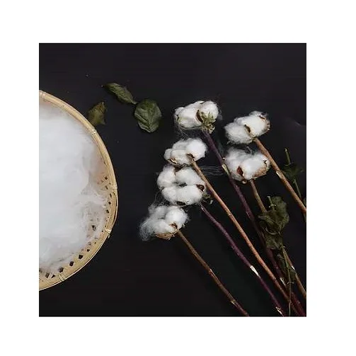 Fast Delivery Cheap Price Bulk Stock Organic Raw Organic Cotton Seeds For Sale In Bulk / Raw Organic Cotton Seeds