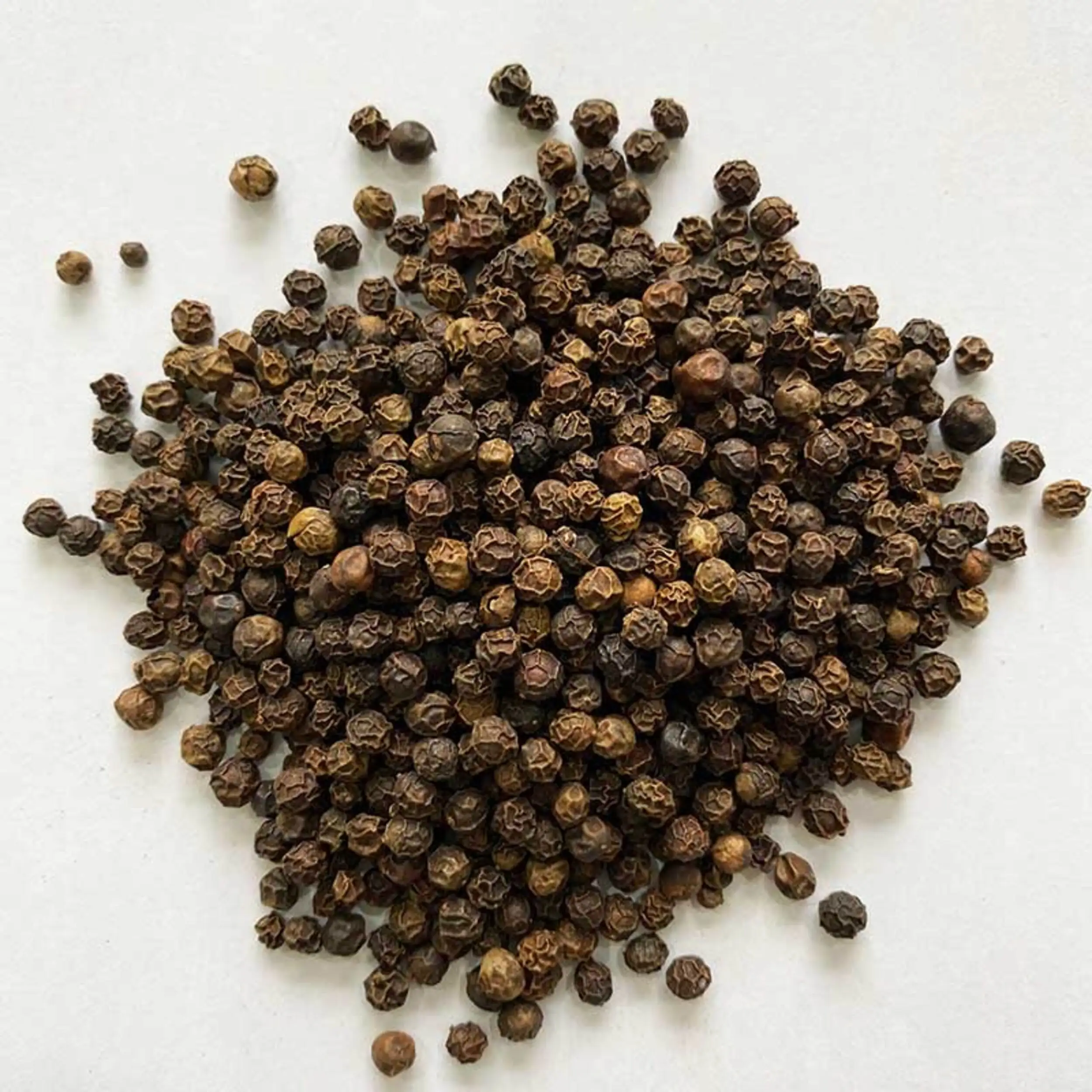 Black Pepper / Premium Quality Dried Black Pepper For Sale