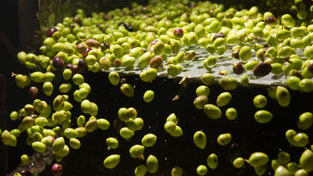 Best Italian Quality Bag in Box 5L Evo Gold Extra Virgin Olive Oil for restaurant